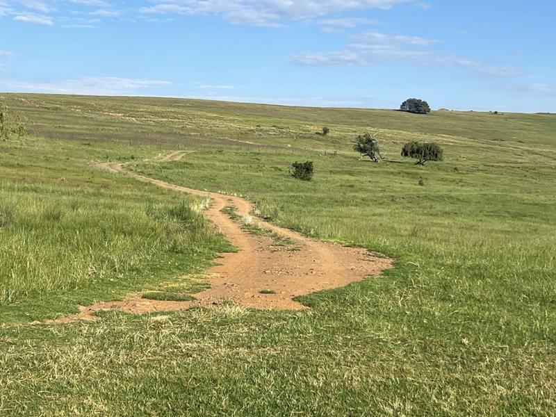 0 Bedroom Property for Sale in Fouriesburg Free State